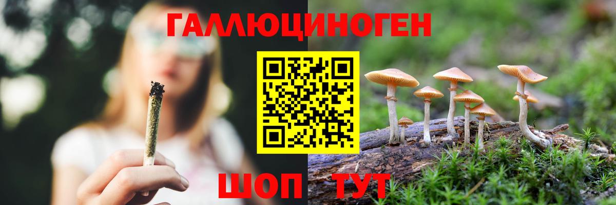Гуково  Псилоцибиновые грибы Magic Shrooms  купить закладку  Вход с VPN 